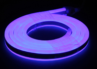 Double Sides Lighting LED Neon Flex Rope Light 12V Input LED Neon Rope Light waterproof Blue light