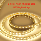 110V SMD2835 Flexible LED Strip Lights 16.4Ft Warm White No UV