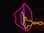 Vasten Lip Mouth  Custom Neon Signs  cafe drawing room neon lighting
