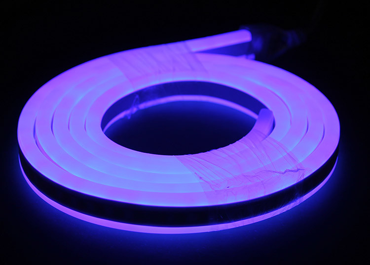 Double Sides Lighting Led Neon Flex Rope Light 12v Input Double Sides Lighting Led Neon Flex Rope Light 12v Input Waterproof Blue