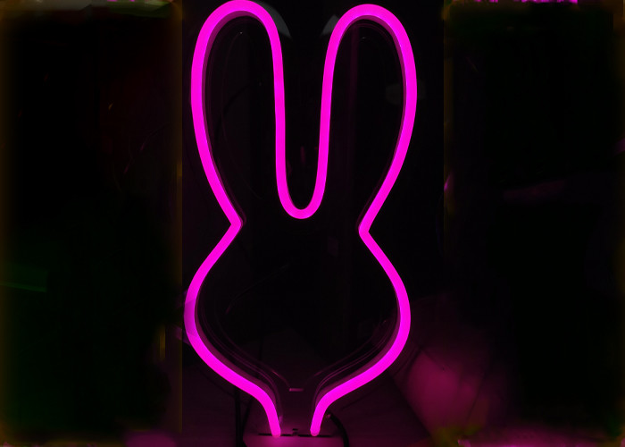 Pink Neon Rabbit Pink Rabbit Neon Signs with stand & USB for Christmas gift For Child