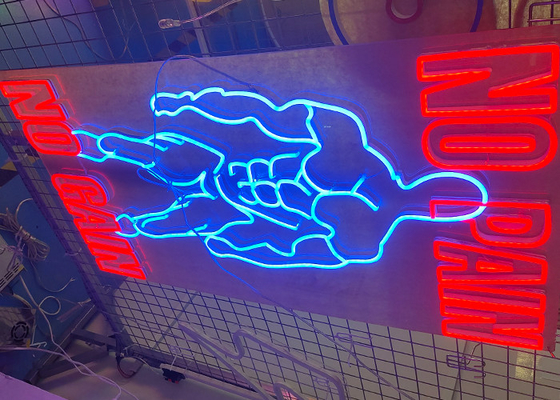 12VDC Artcraft Acrylic Sports Led Neon Sign No Pain No Gain